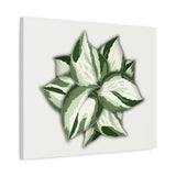 Manjula Pothos Canvas Print – Botanical Wall Art