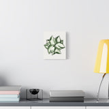 Manjula Pothos Canvas Print – Botanical Wall Art