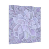 Graptopetalum Murasaki Succulent Pattern Canvas Print – Botanical Wall Art