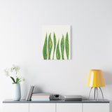 Snake Plant Canvas Print – Botanical Wall Art