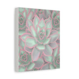 Echeveria Violet Queen Succulent Pattern Canvas Print – Botanical Wall Art