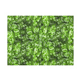 Aglaonema Pictum Canvas Print – Botanical Wall Art