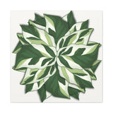 Calathea White Fusion Canvas Print – Botanical Wall Art