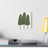 Ponderosa Pine Canvas Print – Wall Art
