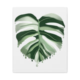 Melting Monstera Albo Canvas Print – Botanical Wall Art