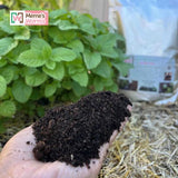 Earthworm Castings For Sale