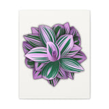 Tradescantia Nanouk Canvas Print – Botanical Wall Art