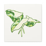 Marble Syngonium Canvas Print – Botanical Wall Art