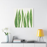 Snake Plant Canvas Print – Botanical Wall Art