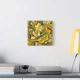 Noble Aeonium Succulent Pattern Canvas Print – Botanical Wall Art