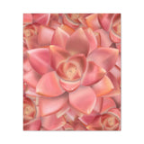 Graptosedum California Sunset Succulent Pattern Canvas Print – Botanical Wall Art