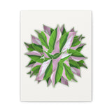 Syngonium Tricolor Pattern Canvas Print – Botanical Wall Art