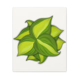 Philodendron Brasil Canvas Print – Botanical Wall Art