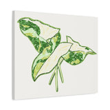 Marble Syngonium Canvas Print – Botanical Wall Art