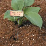 Luster Leaf Classic Impressions Garden 10" Plant Labels | Copper
