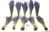 Multiple bundles of dried lavender on a white background