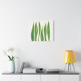 Snake Plant Canvas Print – Botanical Wall Art