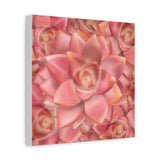 Graptosedum California Sunset Succulent Pattern Canvas Print – Botanical Wall Art