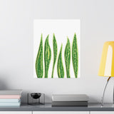 Snake Plant Botanical Print – Unframed Wall Art