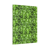 Aglaonema Pictum Canvas Print – Botanical Wall Art