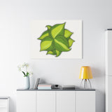 Philodendron Brasil Canvas Print – Botanical Wall Art