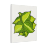Philodendron Brasil Canvas Print – Botanical Wall Art
