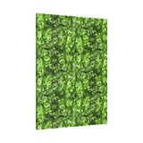 Aglaonema Pictum Canvas Print – Botanical Wall Art