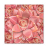 Graptosedum California Sunset Succulent Pattern Canvas Print – Botanical Wall Art