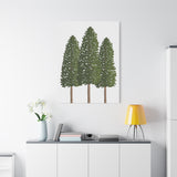 Ponderosa Pine Canvas Print – Wall Art
