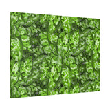 Aglaonema Pictum Canvas Print – Botanical Wall Art