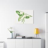Marble Syngonium Canvas Print – Botanical Wall Art