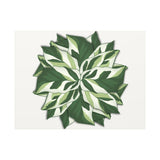 Calathea White Fusion Canvas Print – Botanical Wall Art