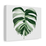 Melting Monstera Albo Canvas Print – Botanical Wall Art