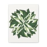 Calathea White Fusion Canvas Print – Botanical Wall Art