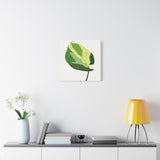 Manjula Pothos Illustrated Canvas Print – Botanical Wall Art