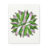 Syngonium Tricolor Pattern Canvas Print – Botanical Wall Art