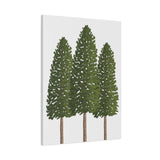 Ponderosa Pine Canvas Print – Wall Art
