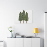 Ponderosa Pine Canvas Print – Wall Art