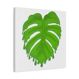 Melting Monstera Canvas Print – Botanical Wall Art