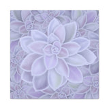 Graptopetalum Murasaki Succulent Pattern Canvas Print – Botanical Wall Art