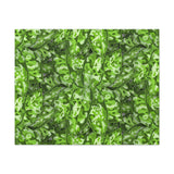 Aglaonema Pictum Canvas Print – Botanical Wall Art