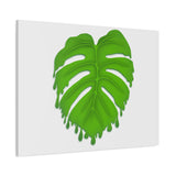 Melting Monstera Canvas Print – Botanical Wall Art