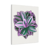 Tradescantia Nanouk Canvas Print – Botanical Wall Art