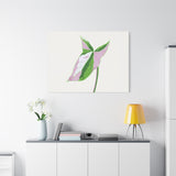 Syngonium Tricolor Canvas Print – Botanical Wall Art