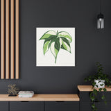 Philodendron Cream Splash Canvas Print – Botanical Wall Art