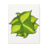 Philodendron Brasil Canvas Print – Botanical Wall Art