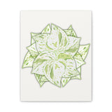 Snow Queen Pothos Canvas Print – Botanical Wall Art