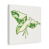Marble Syngonium Canvas Print – Botanical Wall Art