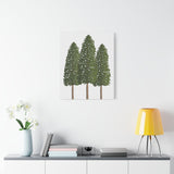 Ponderosa Pine Canvas Print – Wall Art