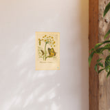 Foeniculum Hortense with Swallowtail Metamorphosis, Botanical Illustration Colorized Reproduction